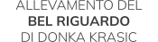 Logo dell’azienda
