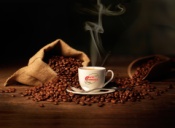 Recensioni CAFFE' MELETTI - S.R.L